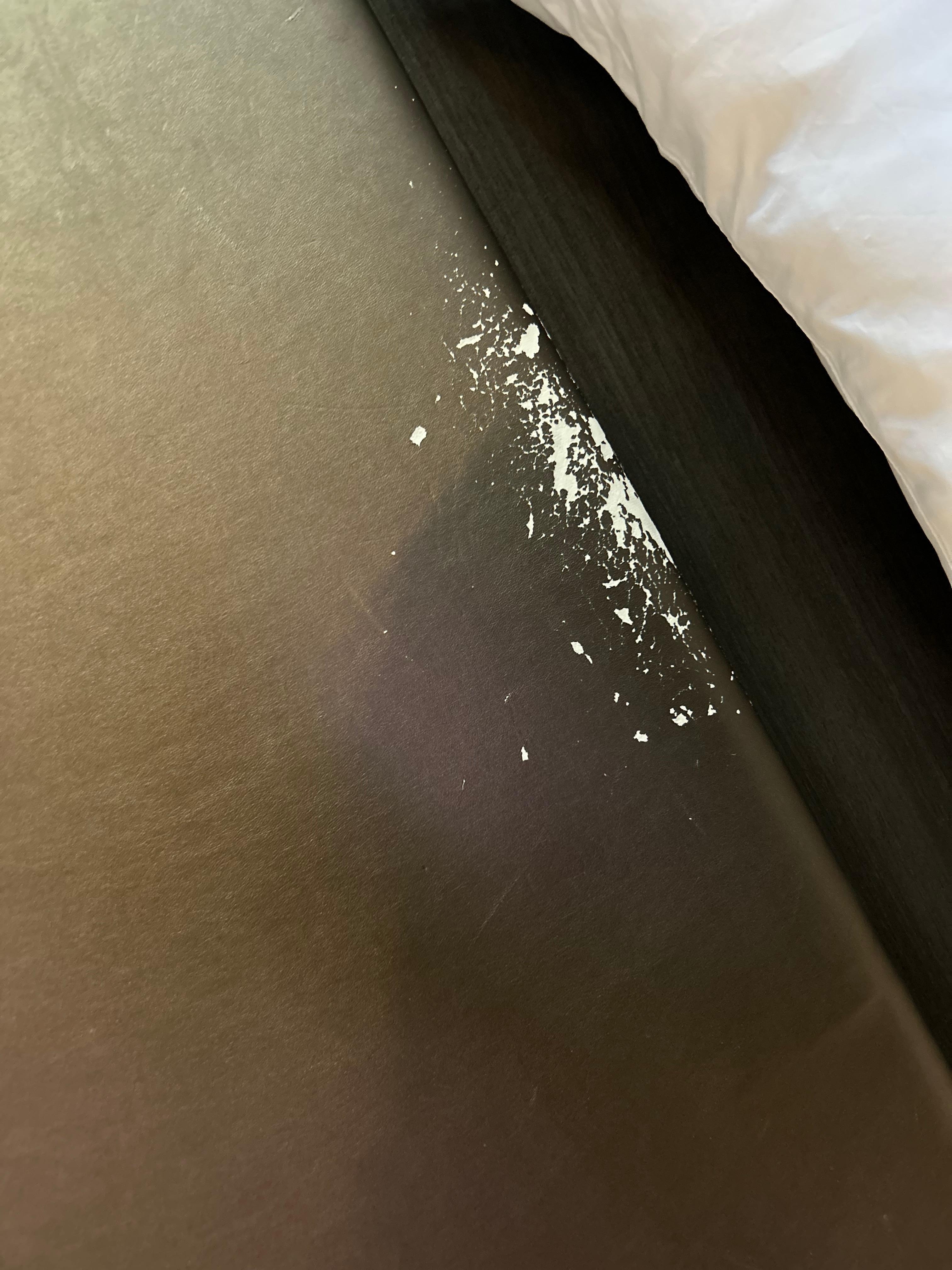 Claw marks