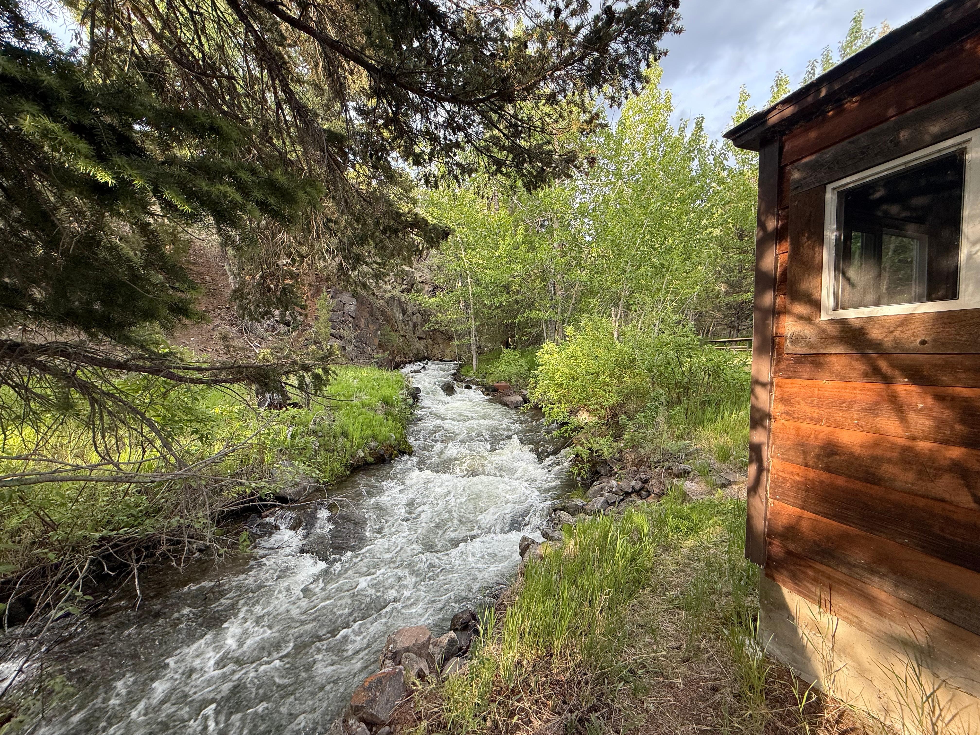 So close to the creek