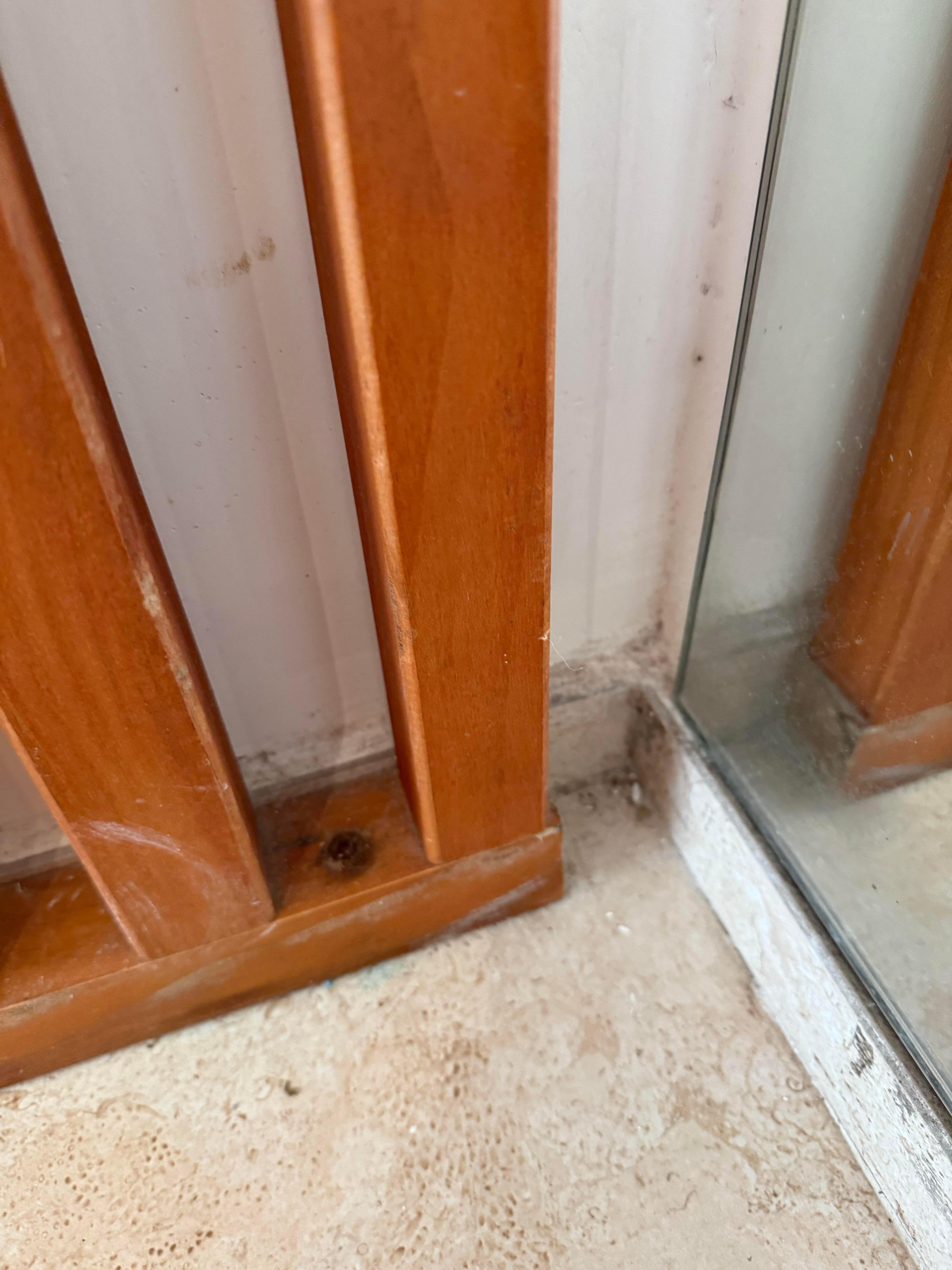 Toxic mold in all corners