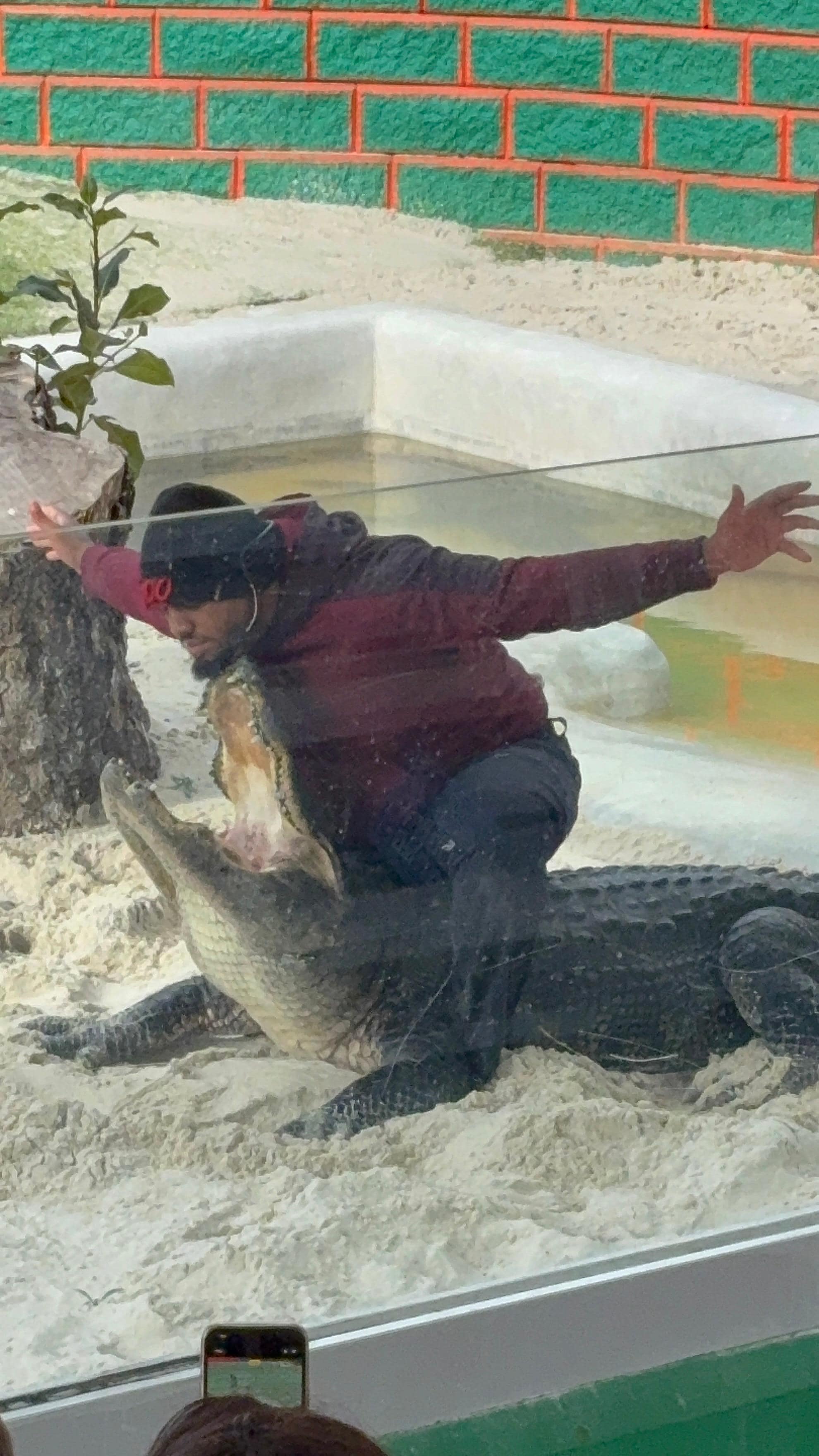 The Everglades is approximately 45 mins away & the gator shows are a must see