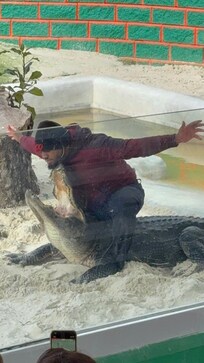 The Everglades is approximately 45 mins away & the gator shows are a must see