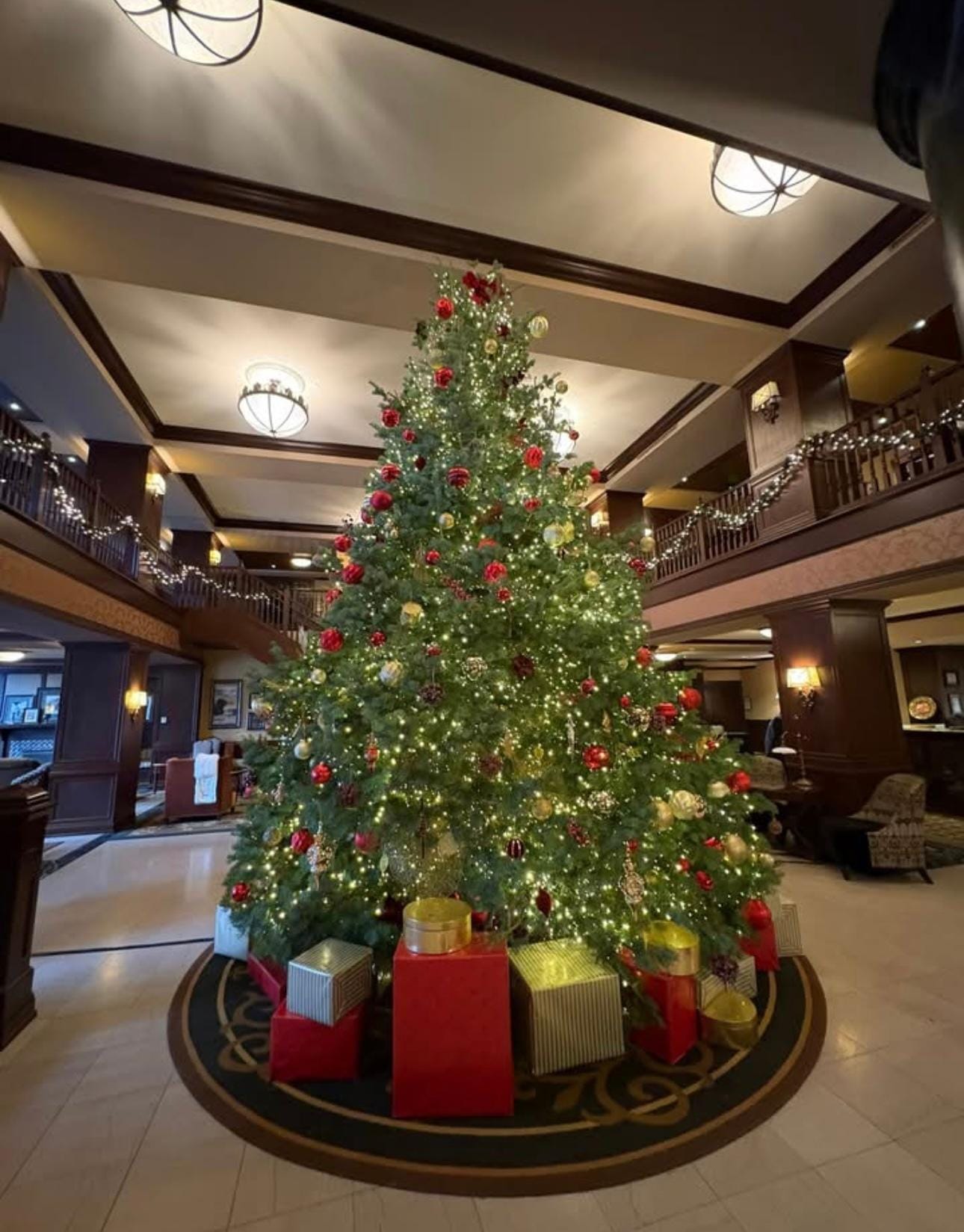 Tree in lobby 
