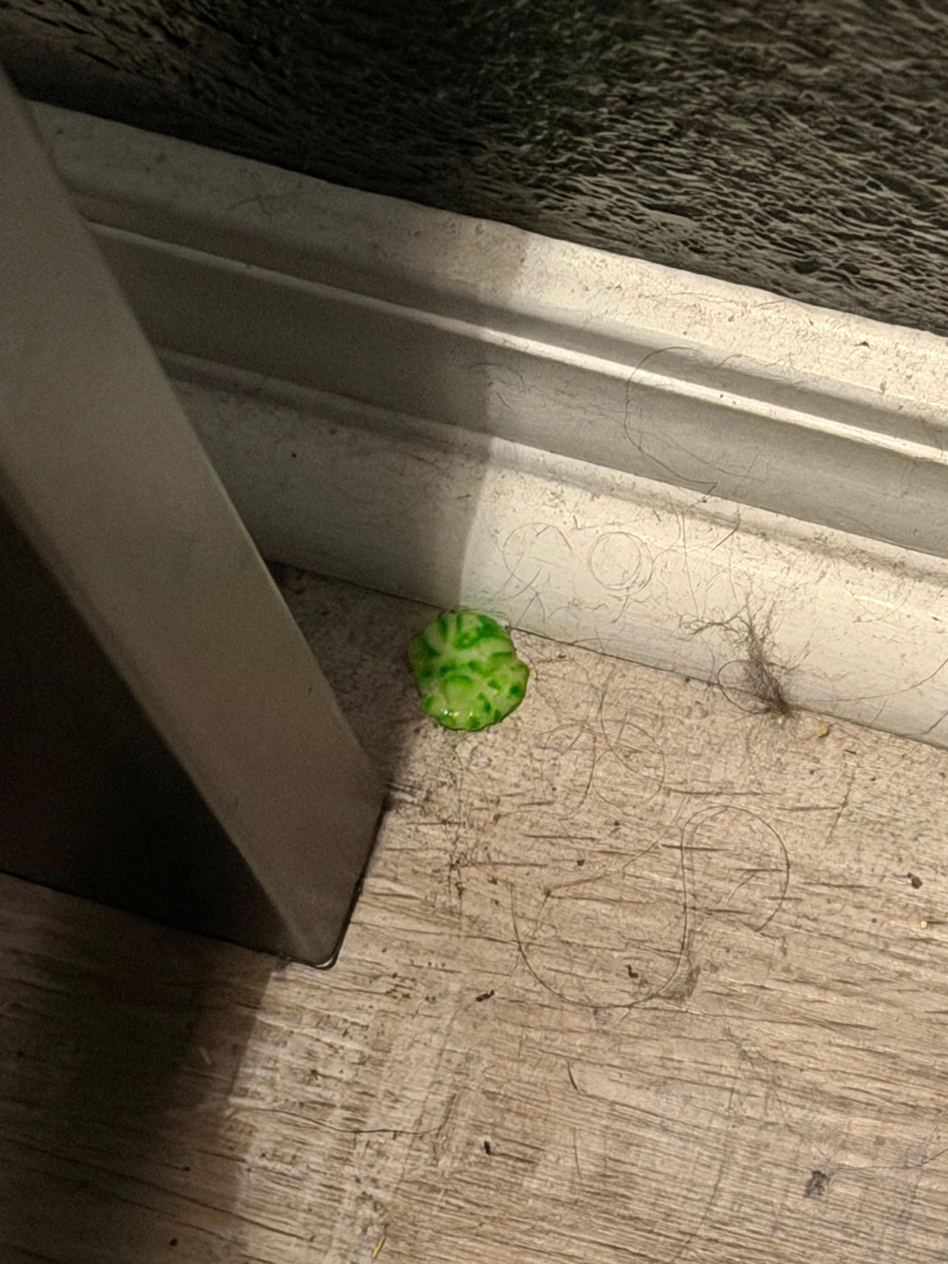 Candy and hair on floor by baseboards 