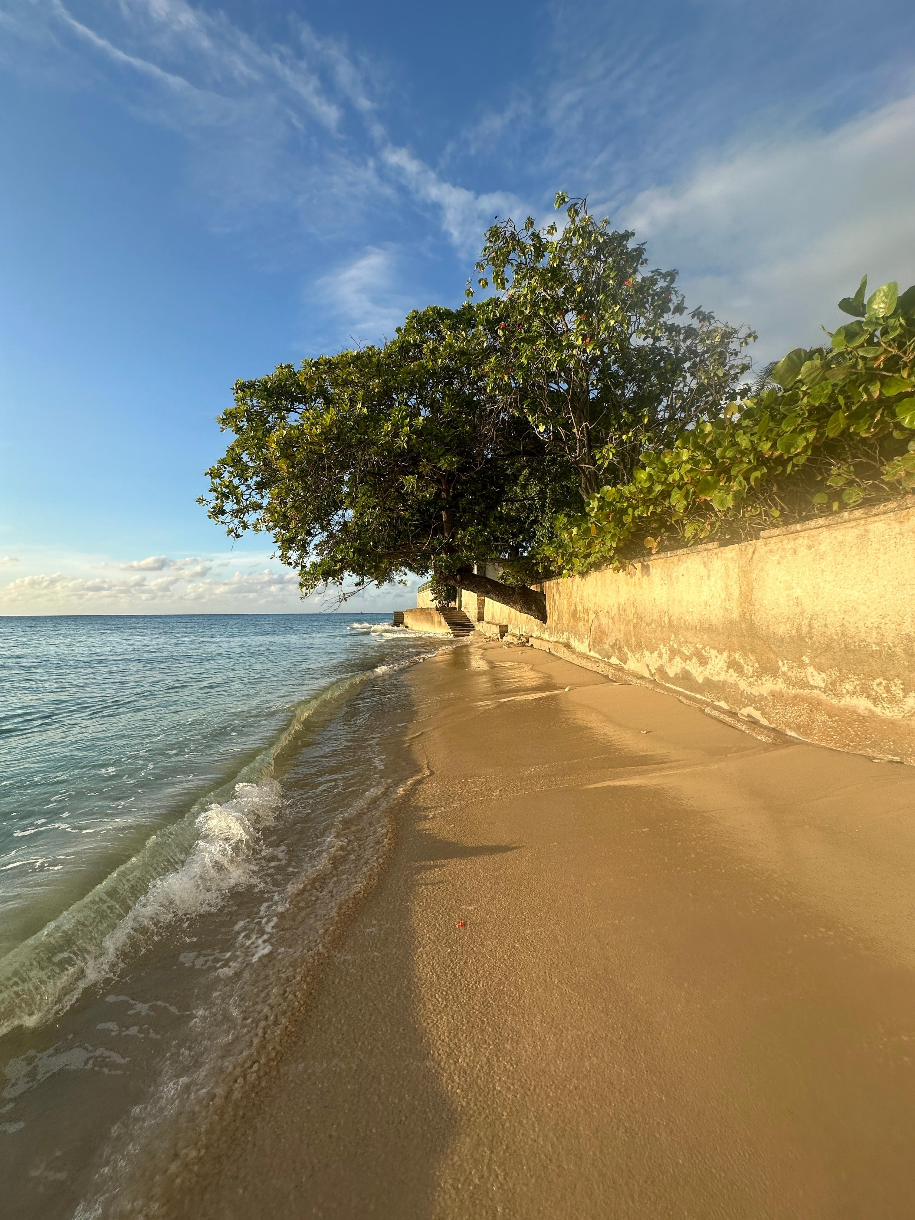 Gibbes Beach - just 1 minute walk away