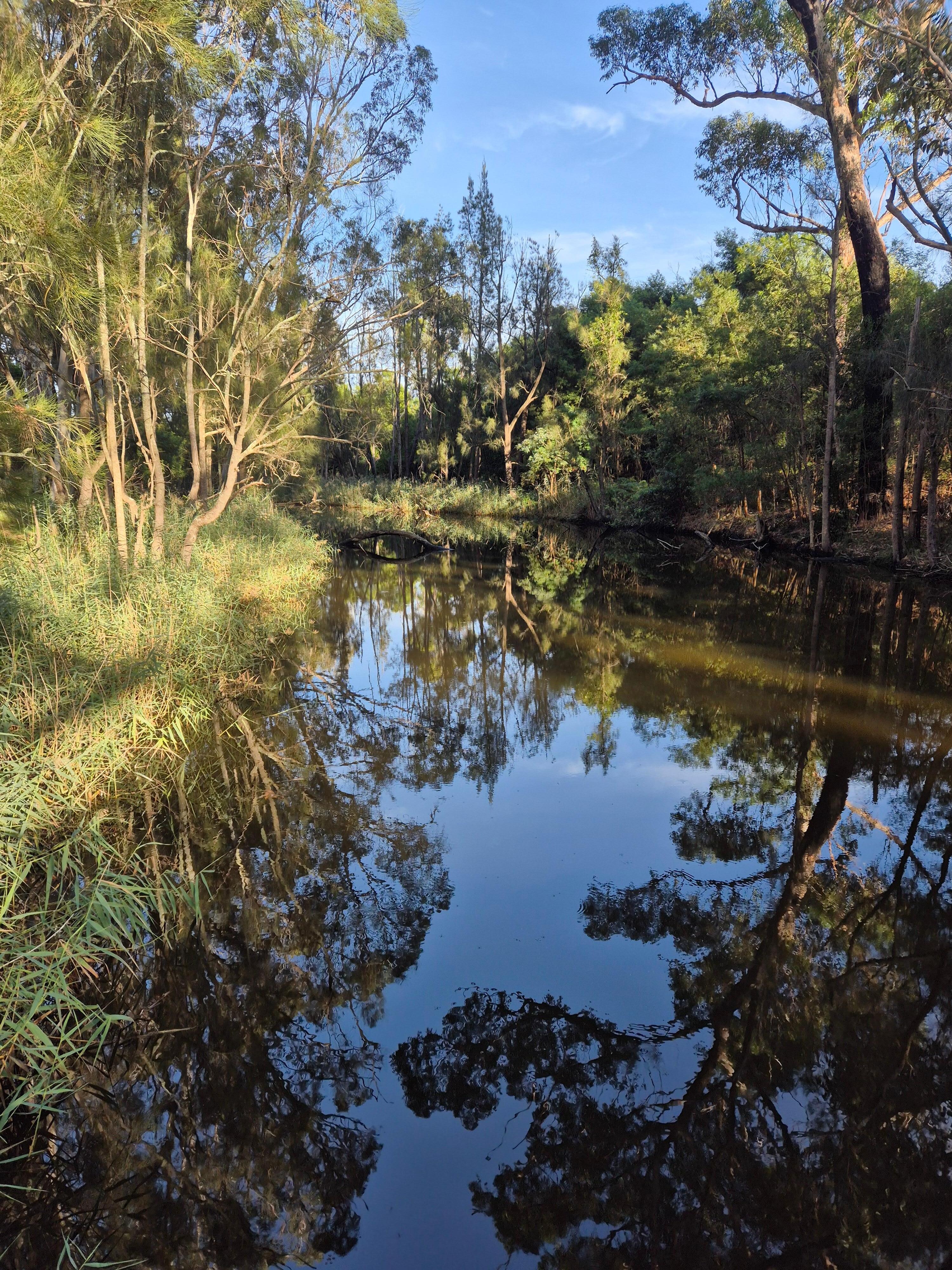 View from the bridge towards the cottage