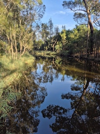 View from the bridge towards the cottage