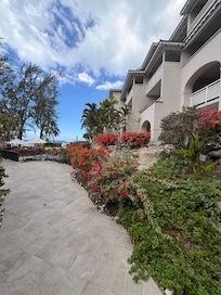 Garden area