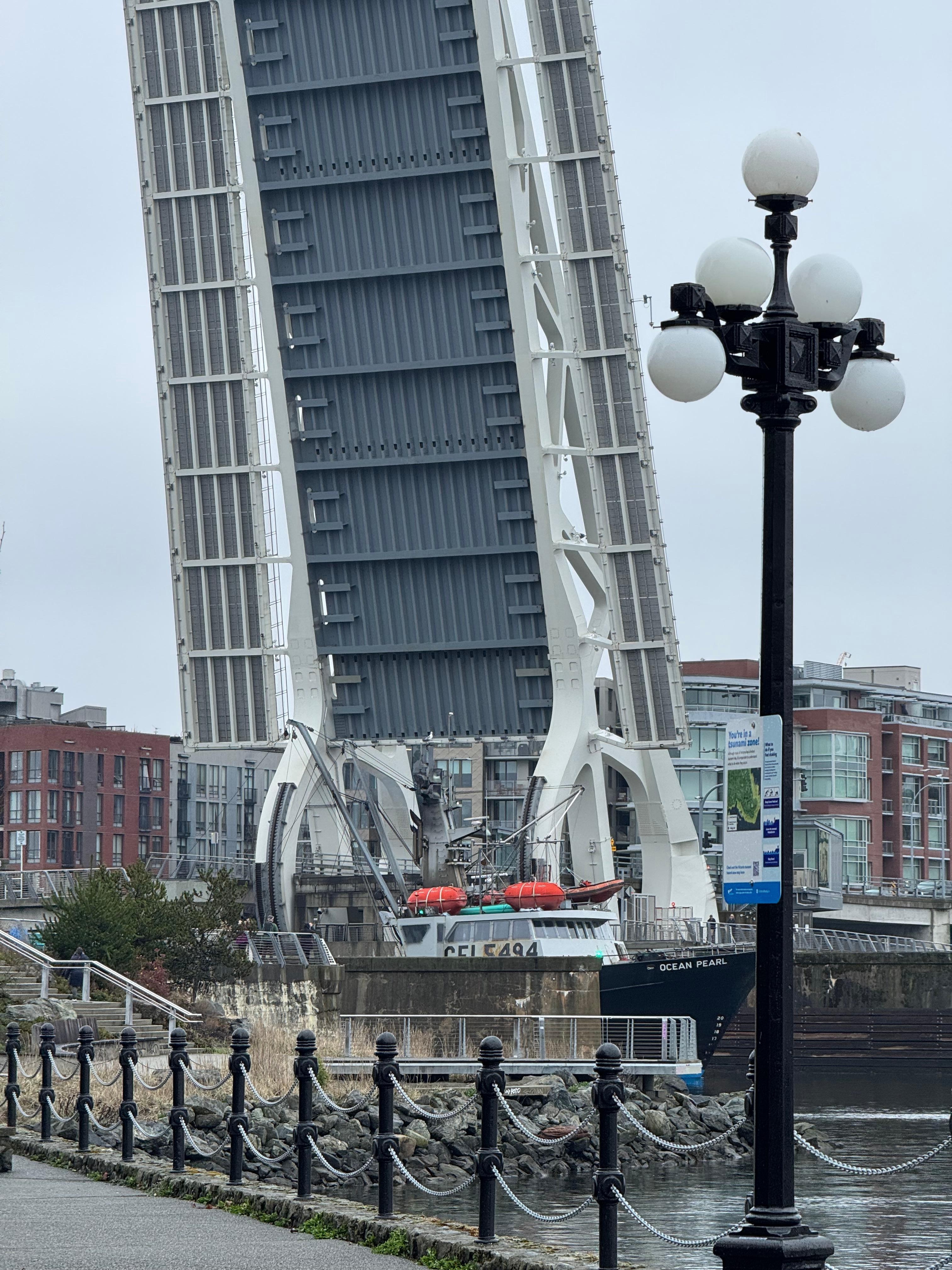A cool sight to see the bridge lift for a tall ship coming through 