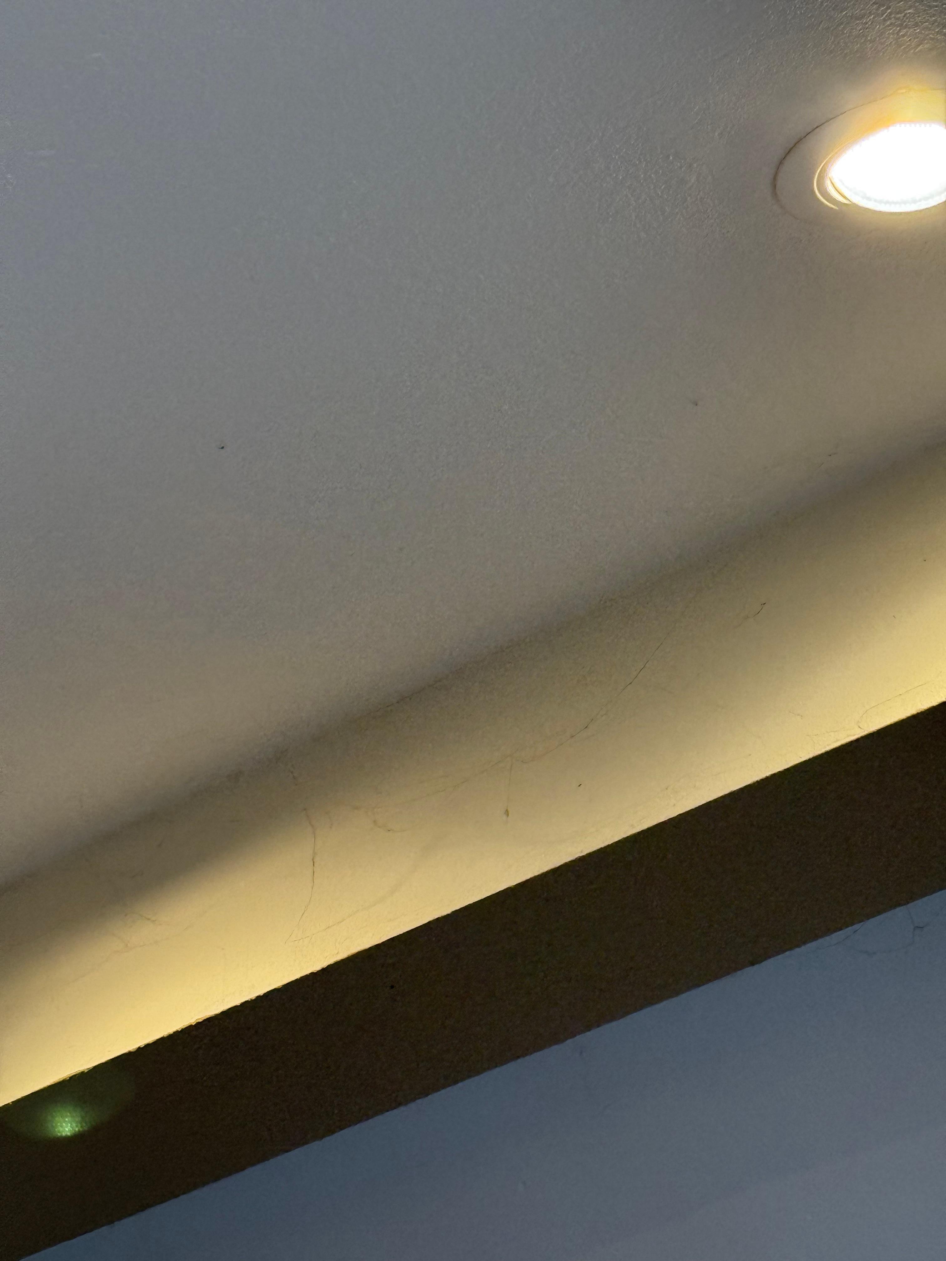 Unattended spider webs.