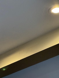 Unattended spider webs.