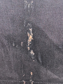 Vomit on bed