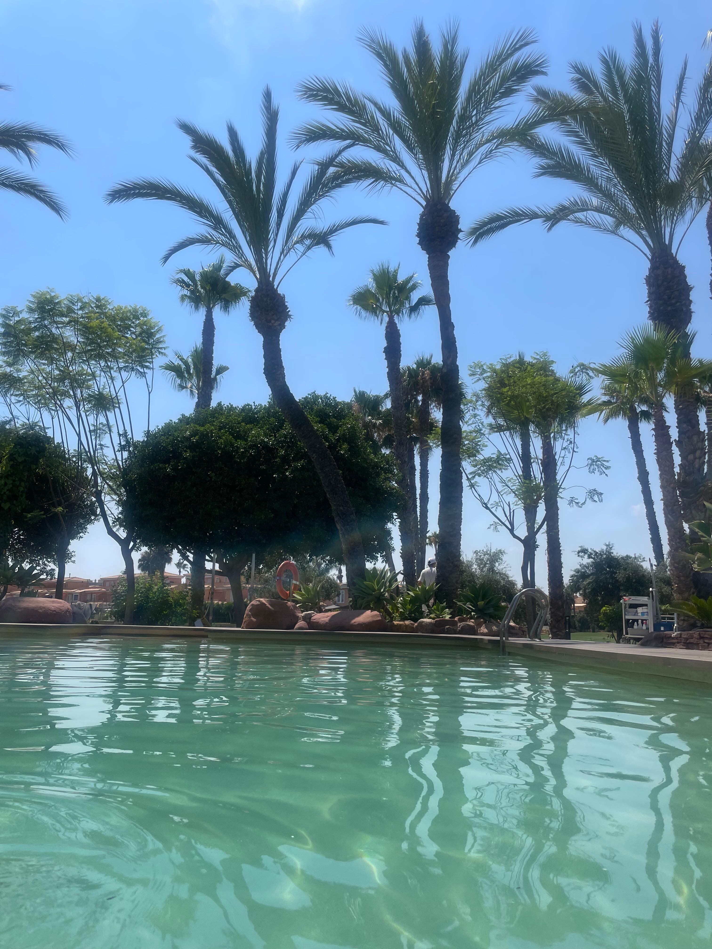 View from the pool