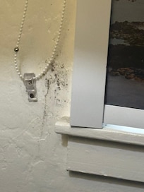 Dirt or mold on wall