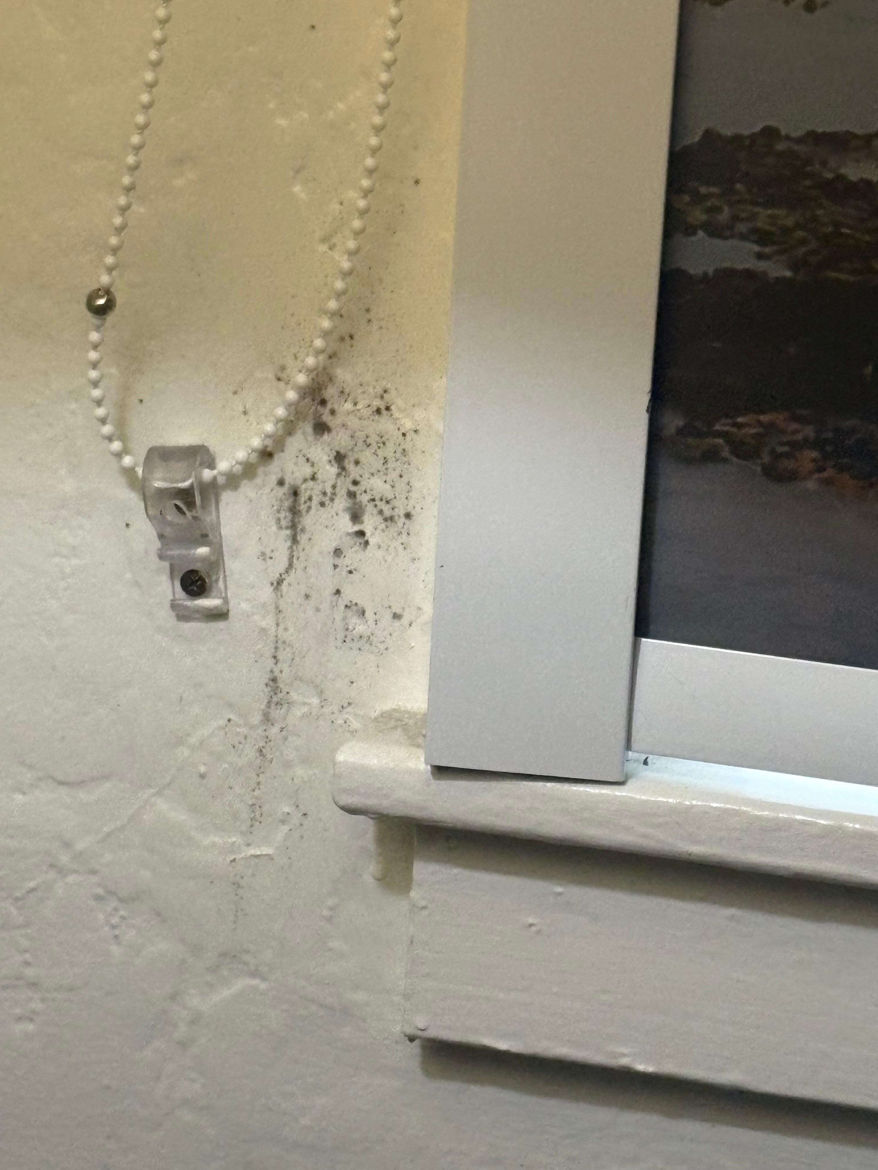 Dirt or mold on wall