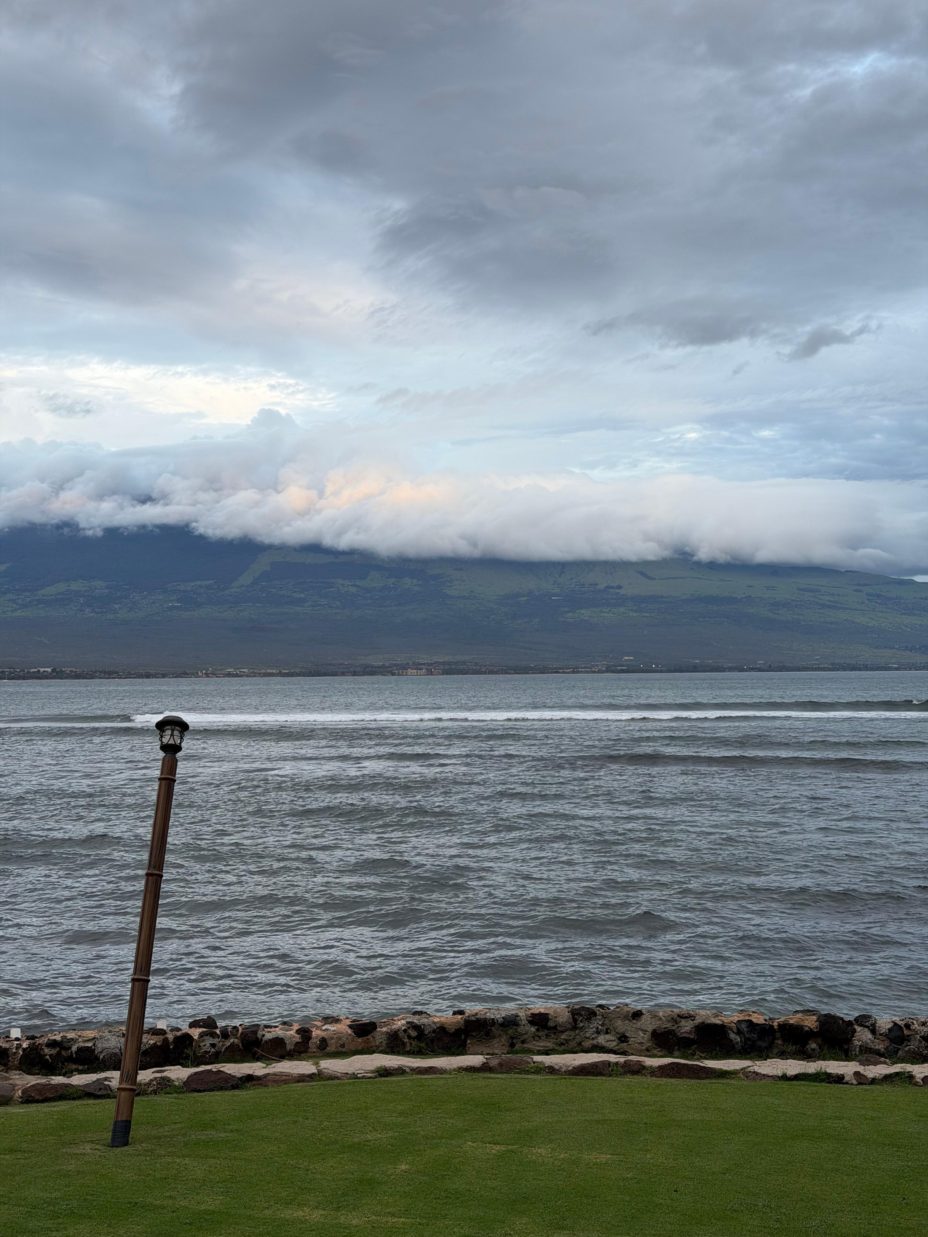 View from the patio