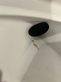 I maker reservoir in refrigerator