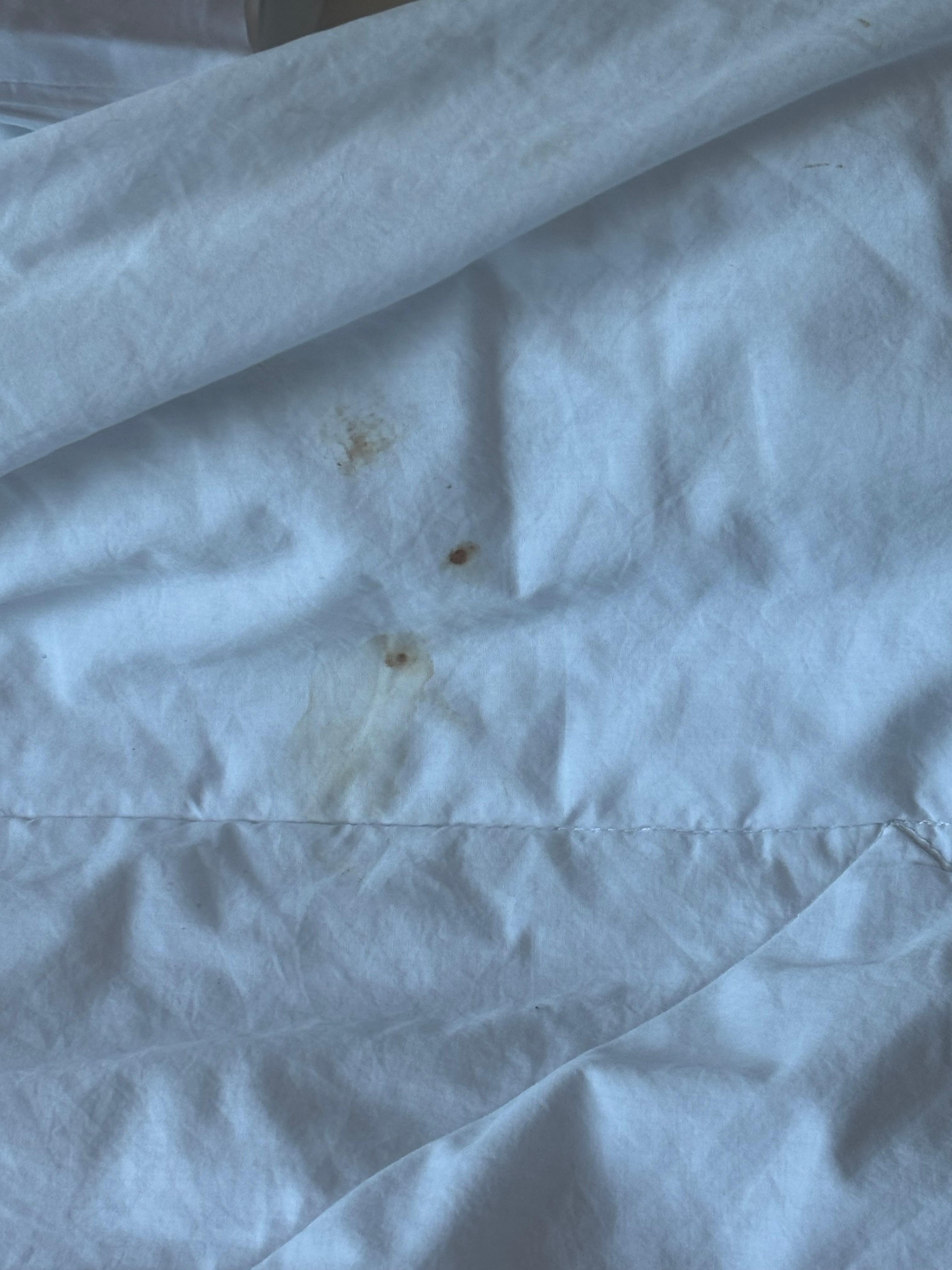 Stained comforter