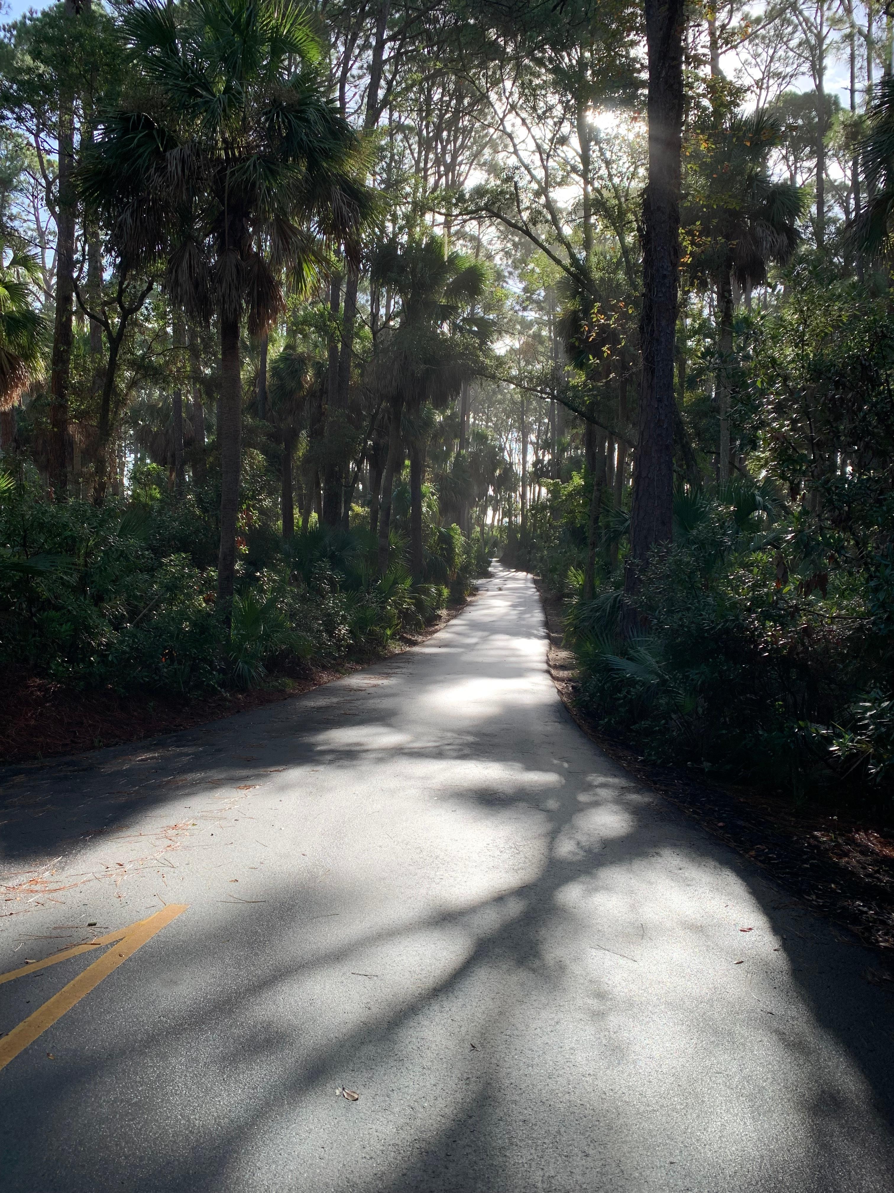 Hunting Island State Park