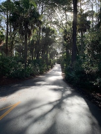 Hunting Island State Park