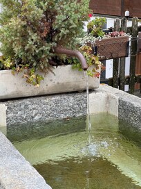 B&B grounds