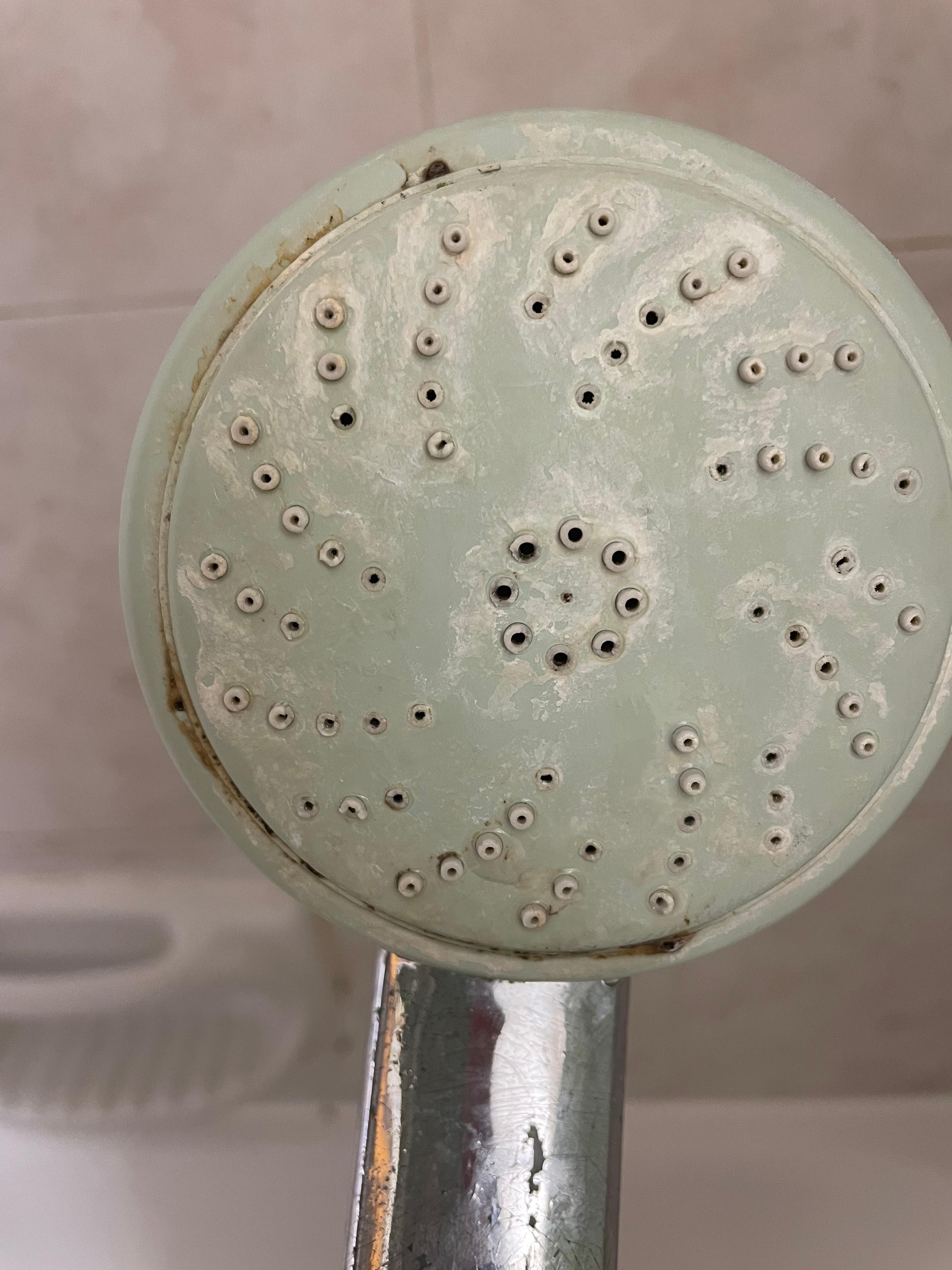 Black mould on the shower head and in between all tiles.