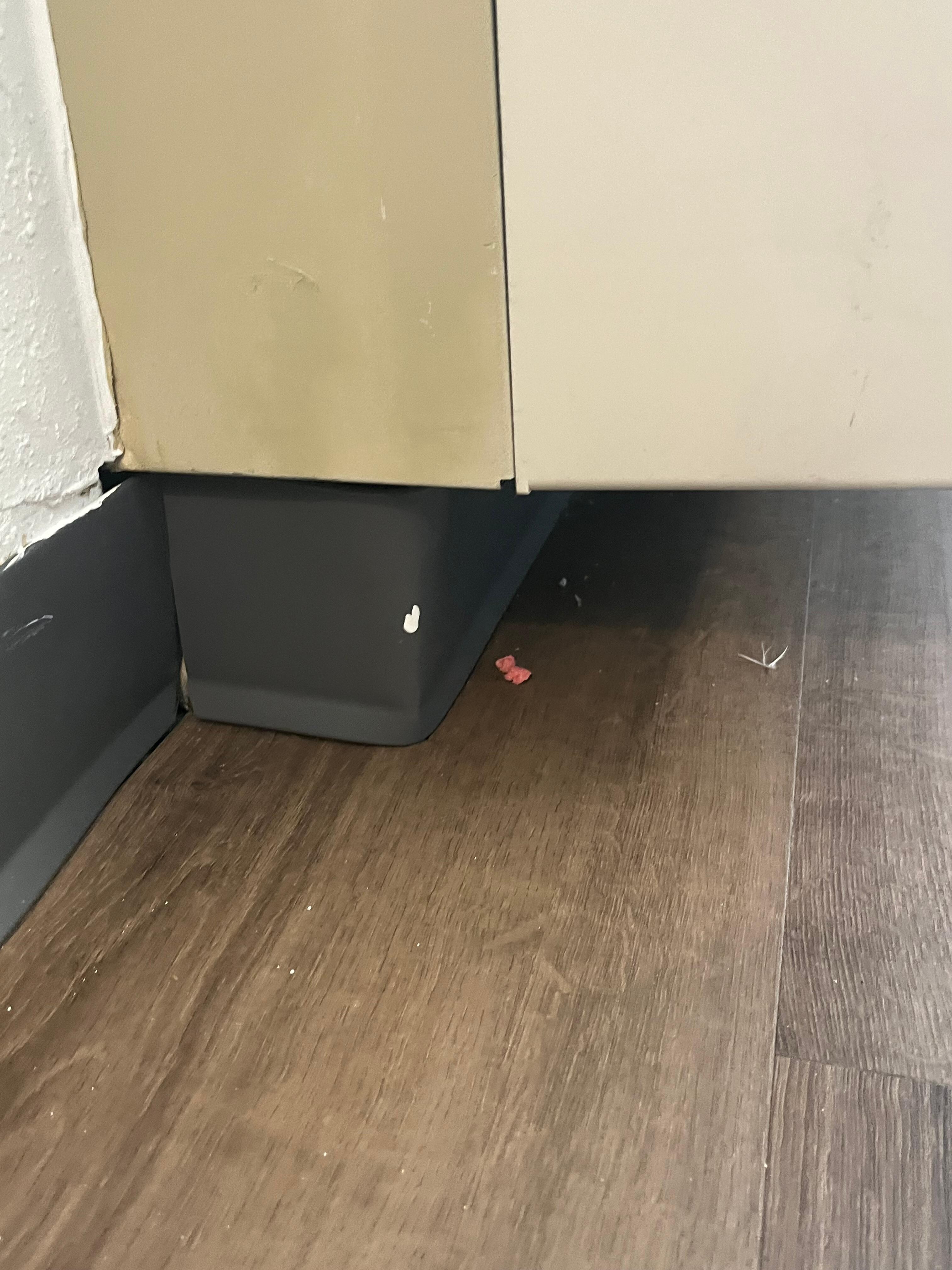 Filth under the bathroom sink