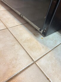Food that wasn’t ours