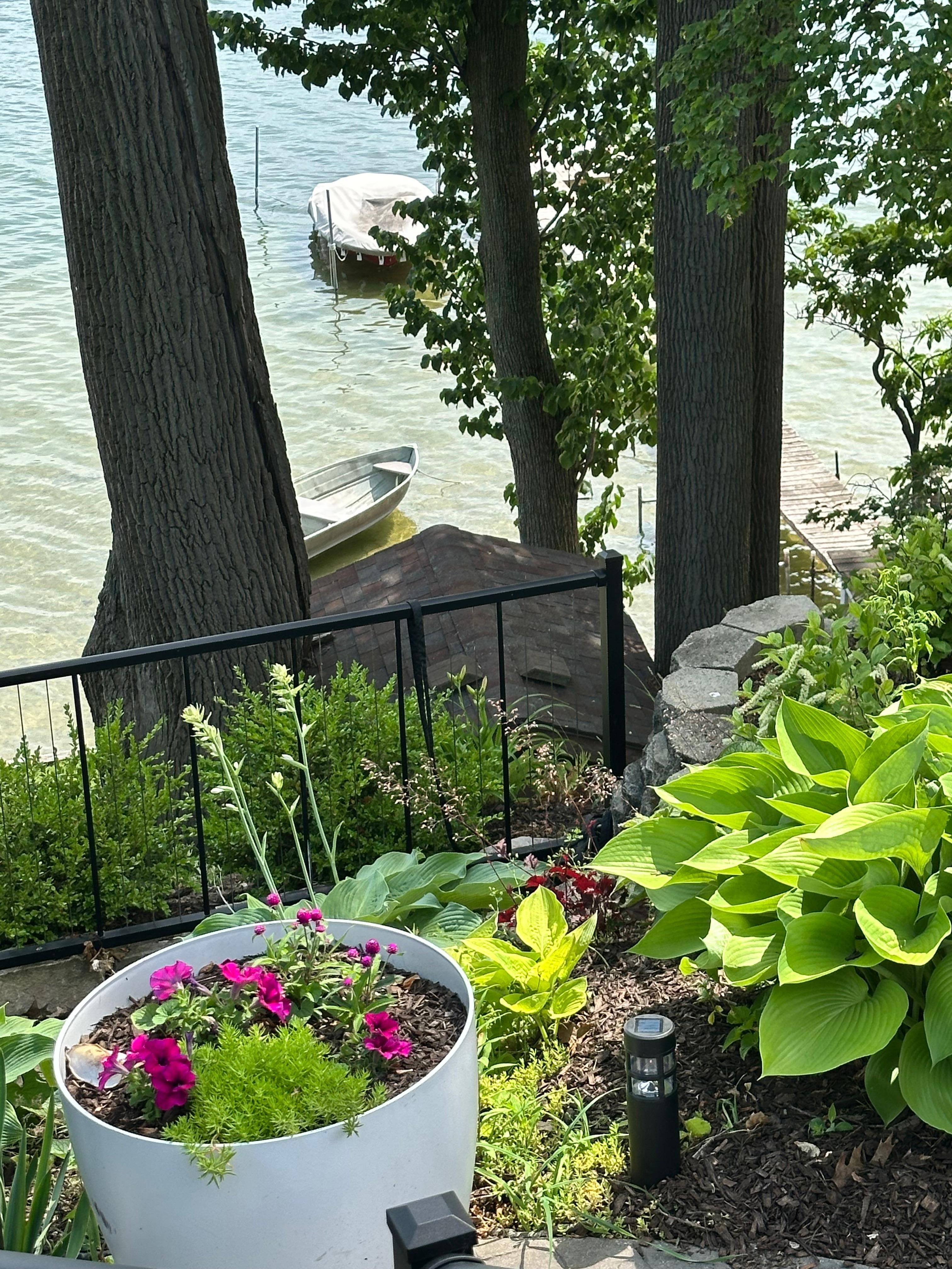 Beautiful landscaping along the patio 