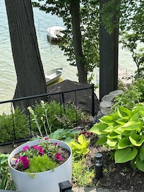 Beautiful landscaping along the patio