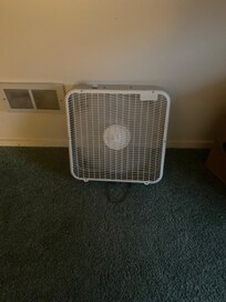 Only fan in house. No screens on anything to get fresh air