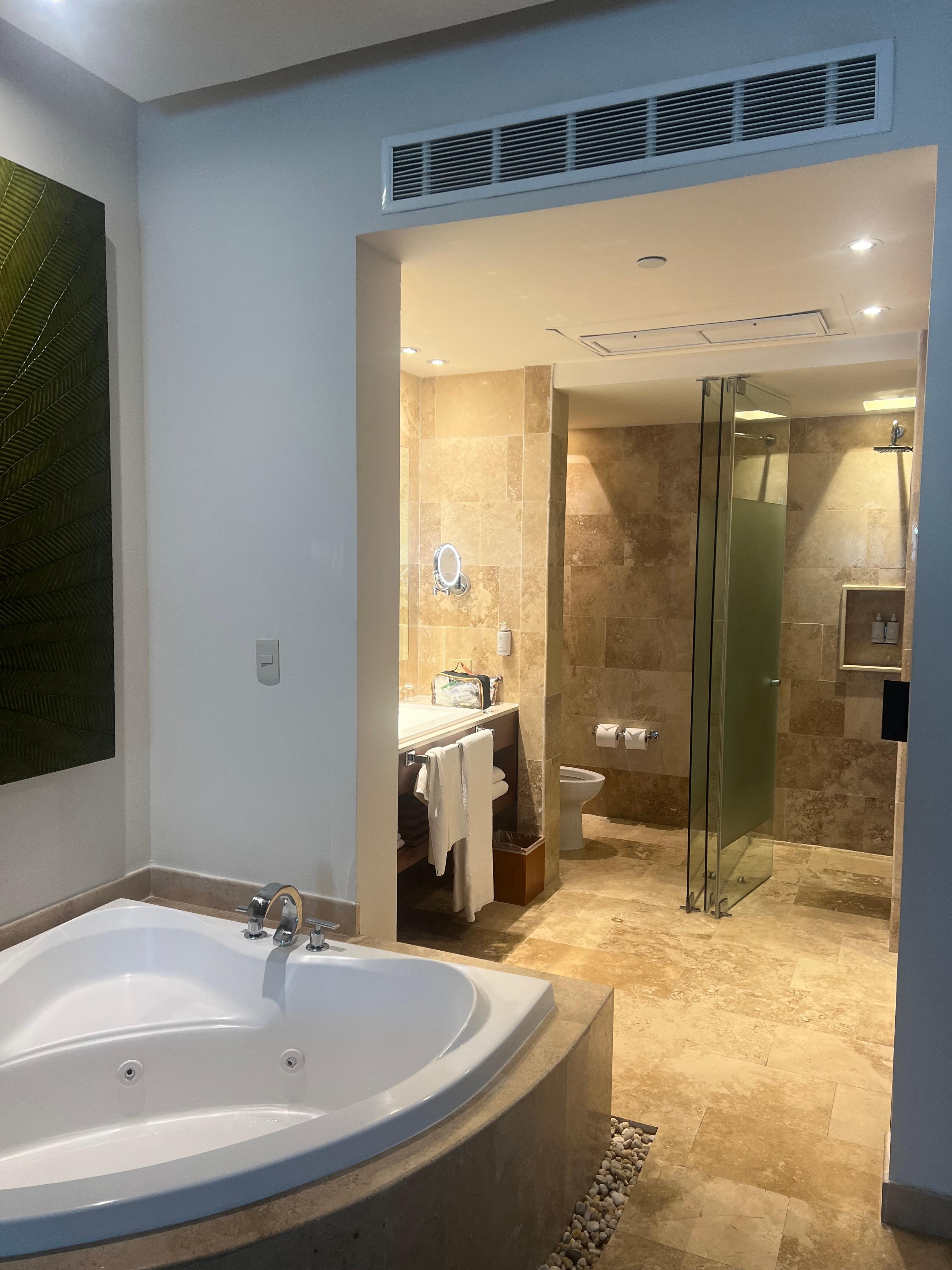 Master Suite main bathroom