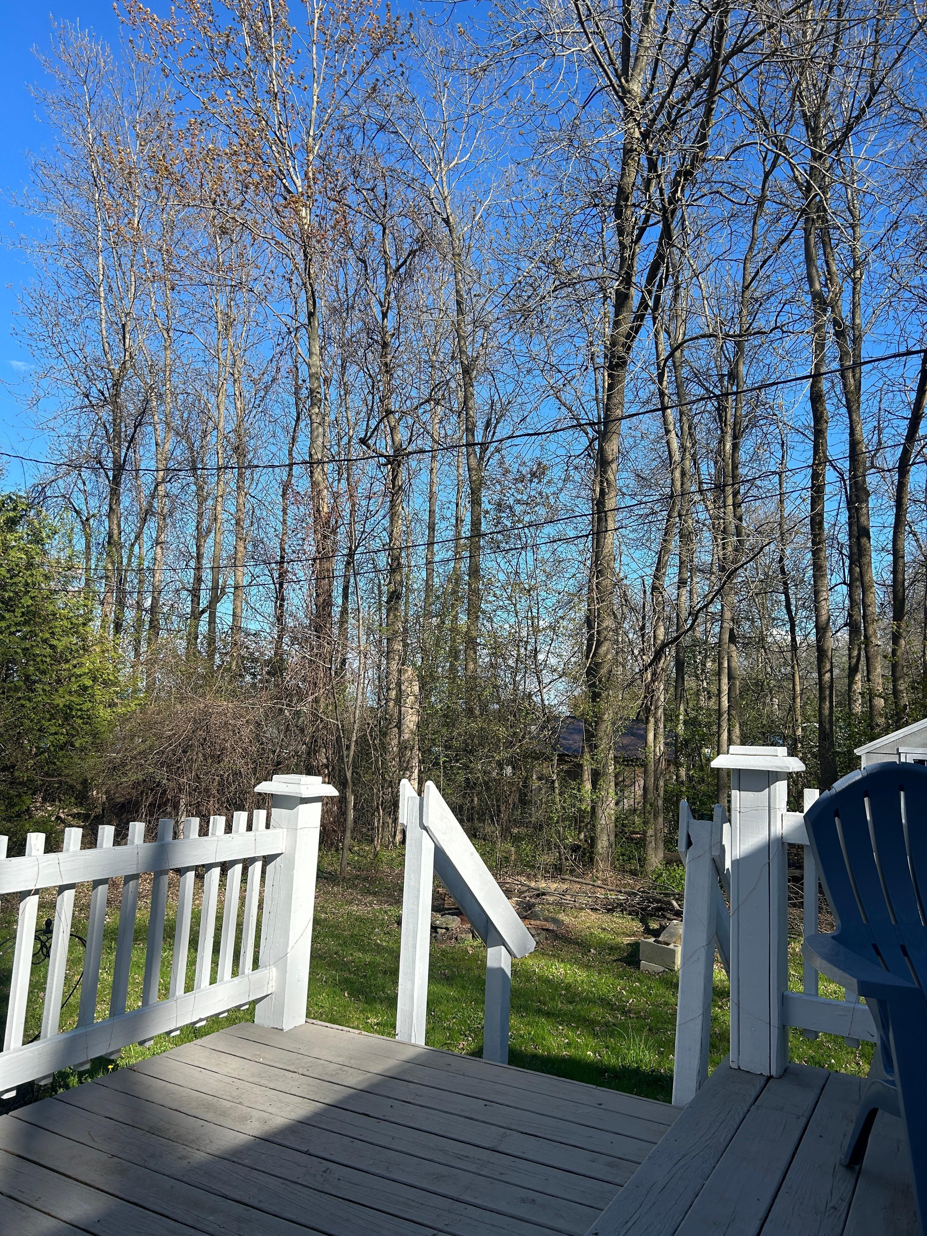 Views from deck