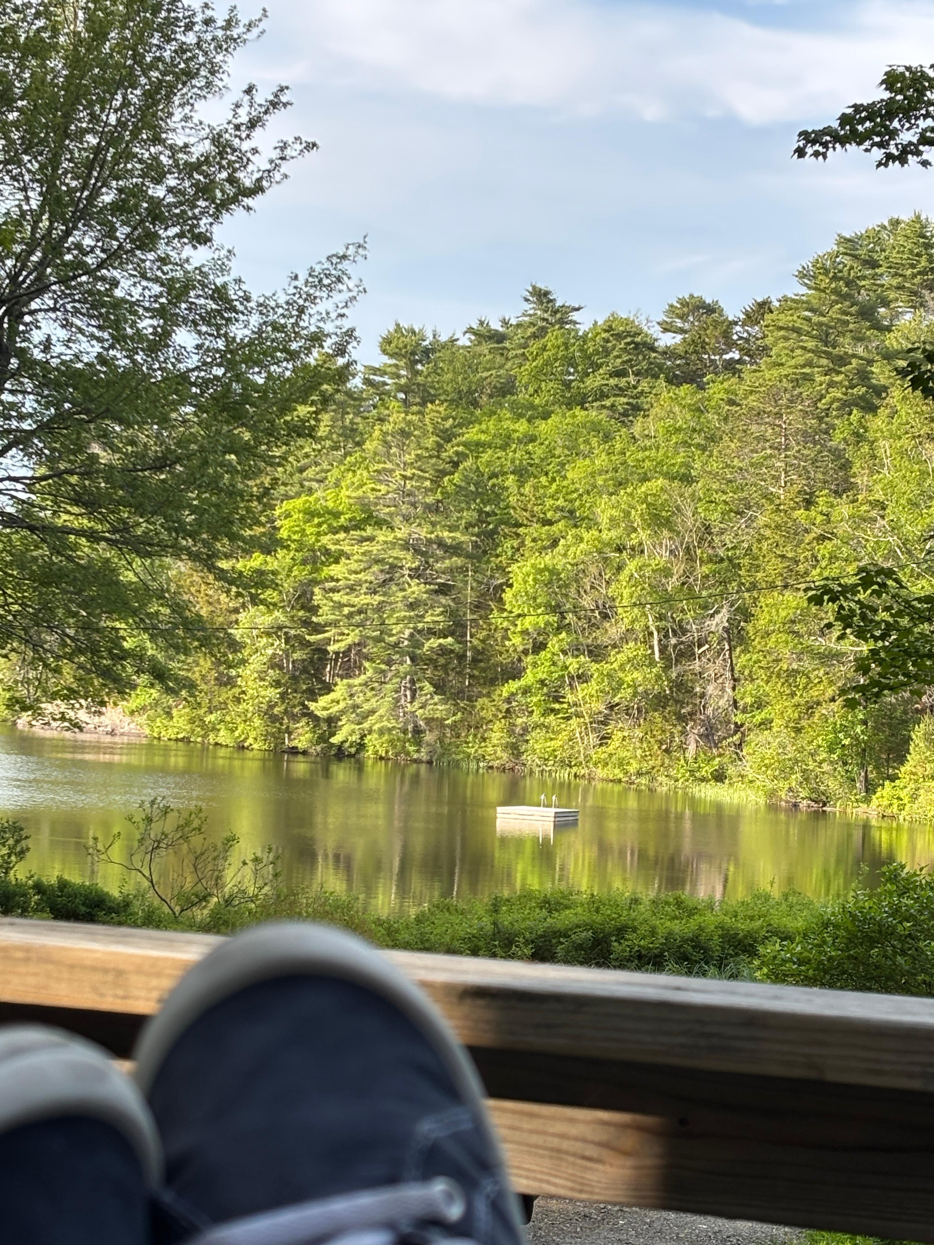 Cabin view