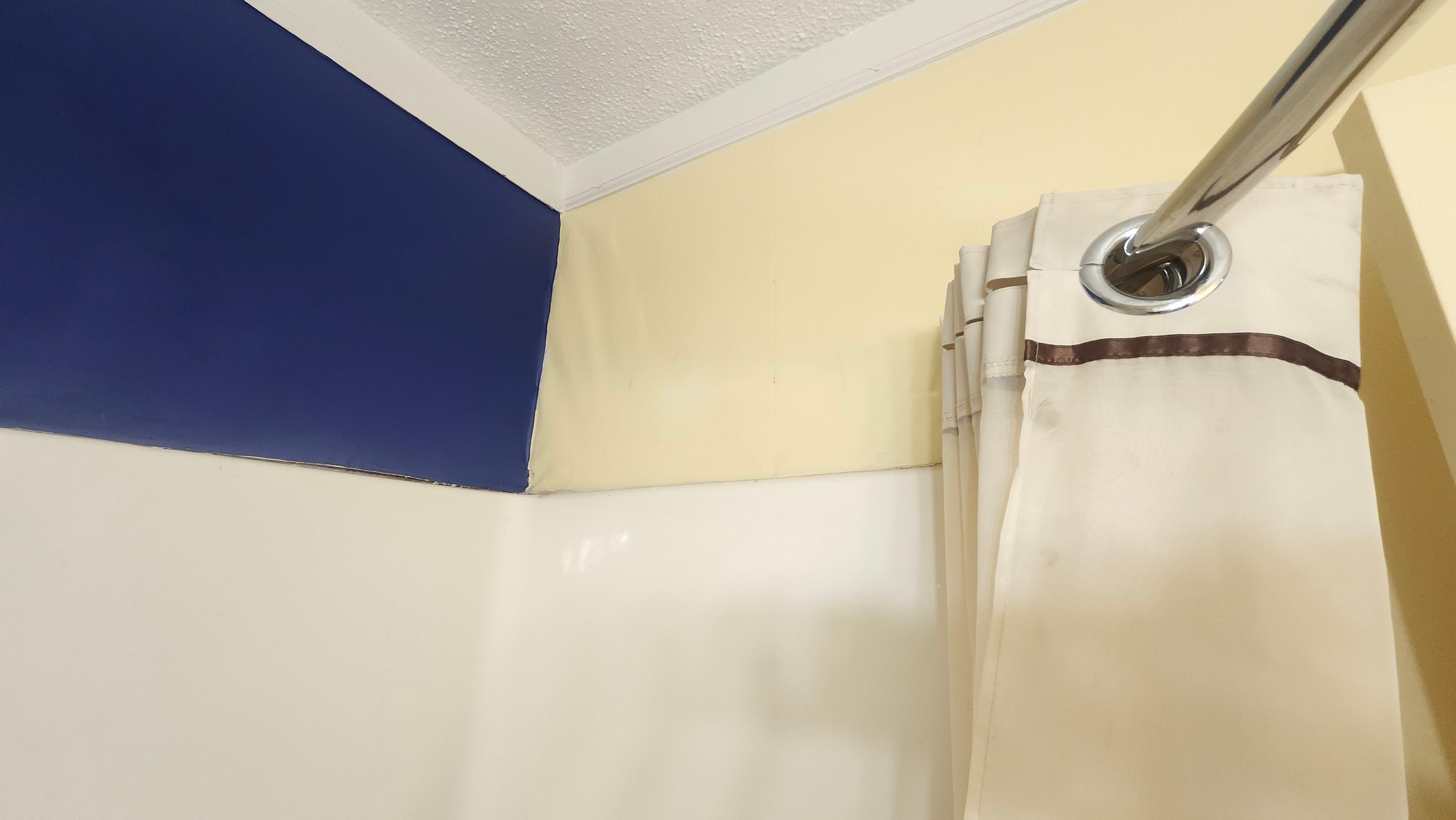 Mold bubbling rust stains coming out wall on shower