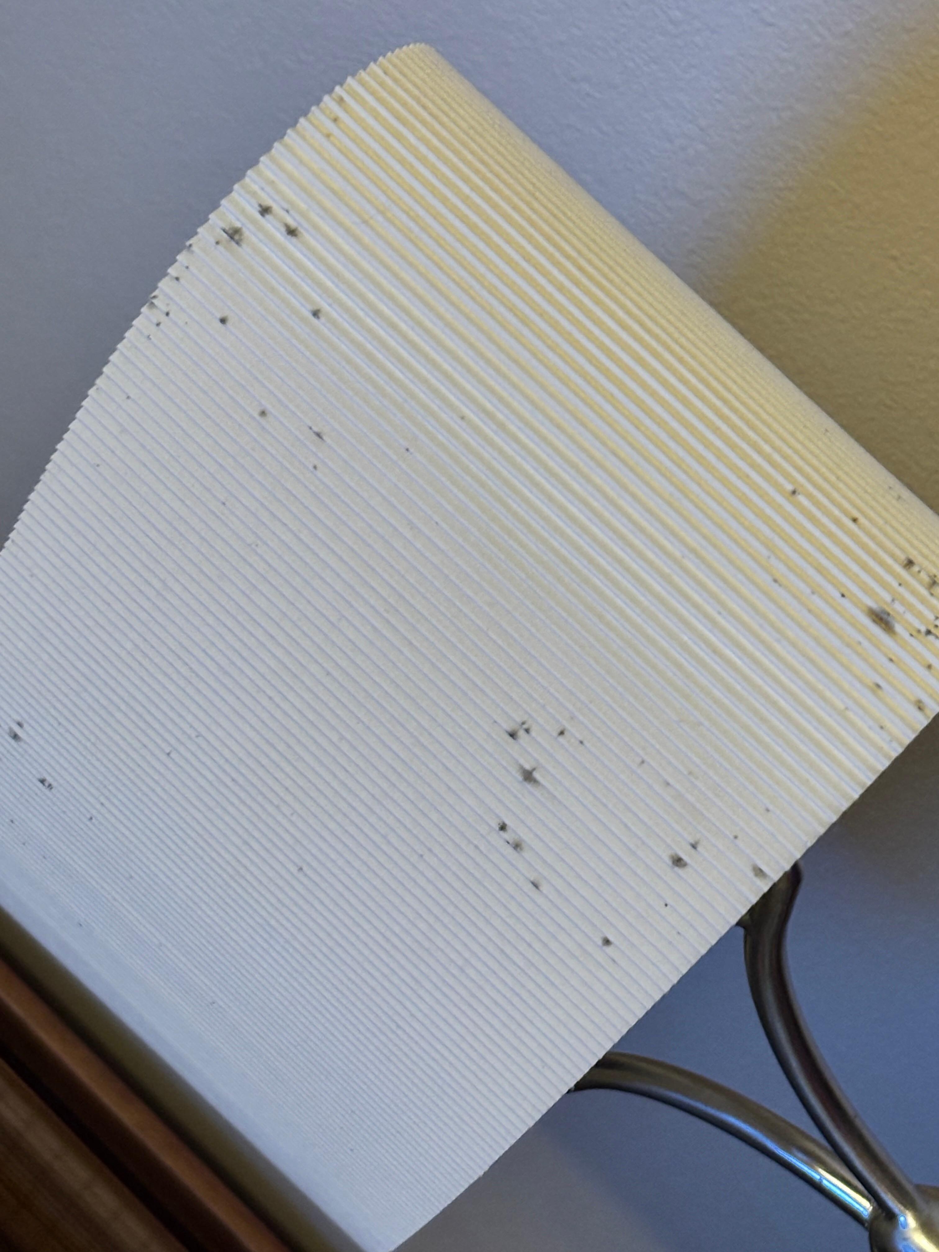 Mold on lamp