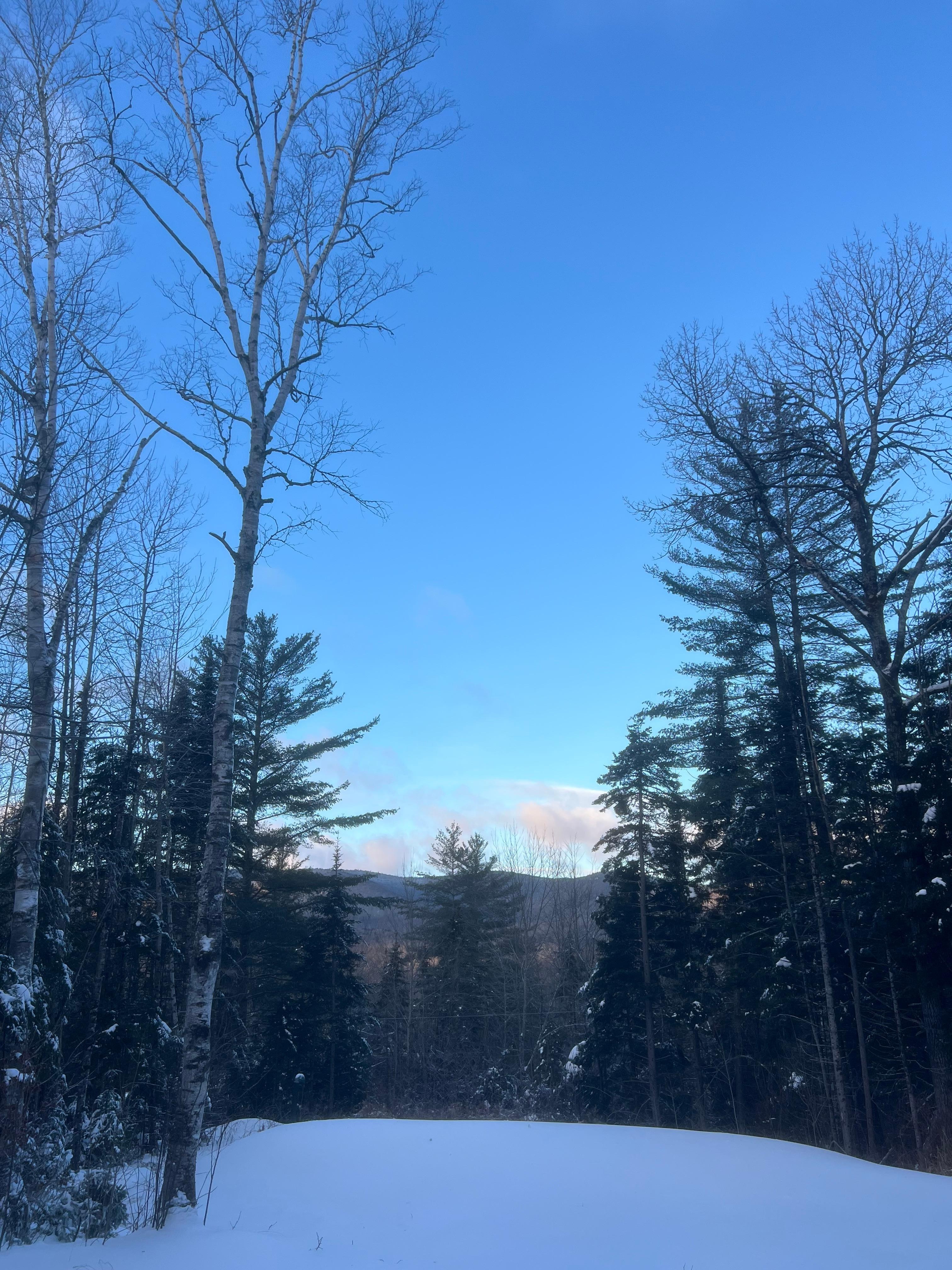 The view on the porch outside