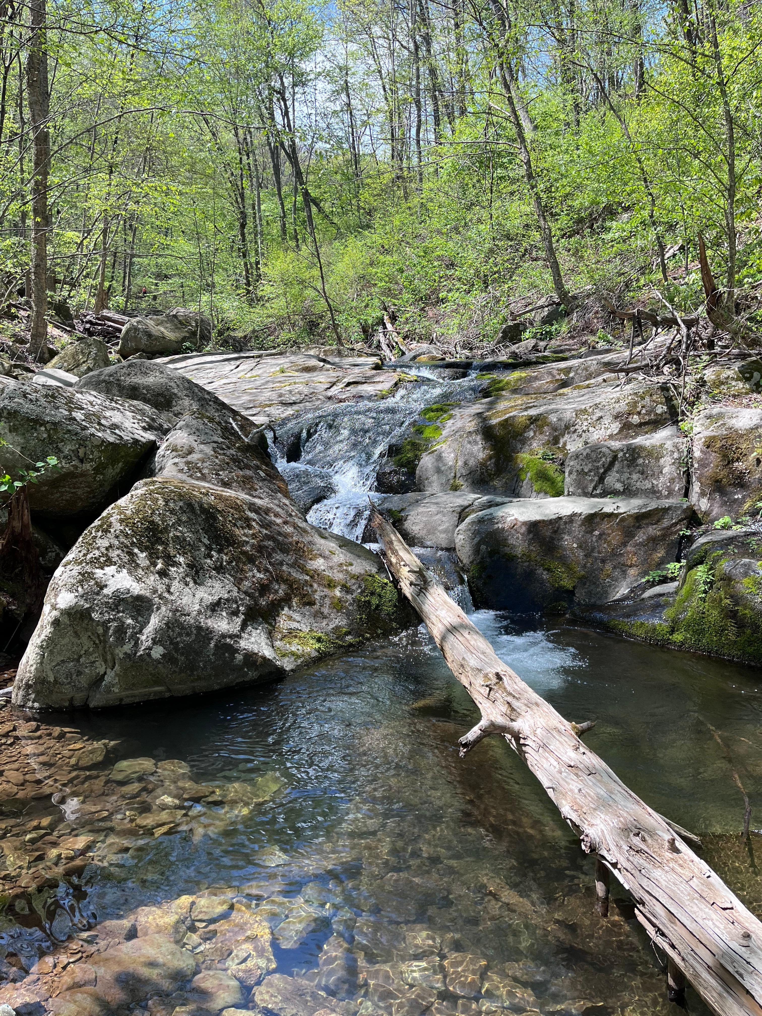 Hike at Shenandoah National Forest