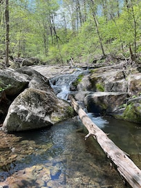 Hike at Shenandoah National Forest
