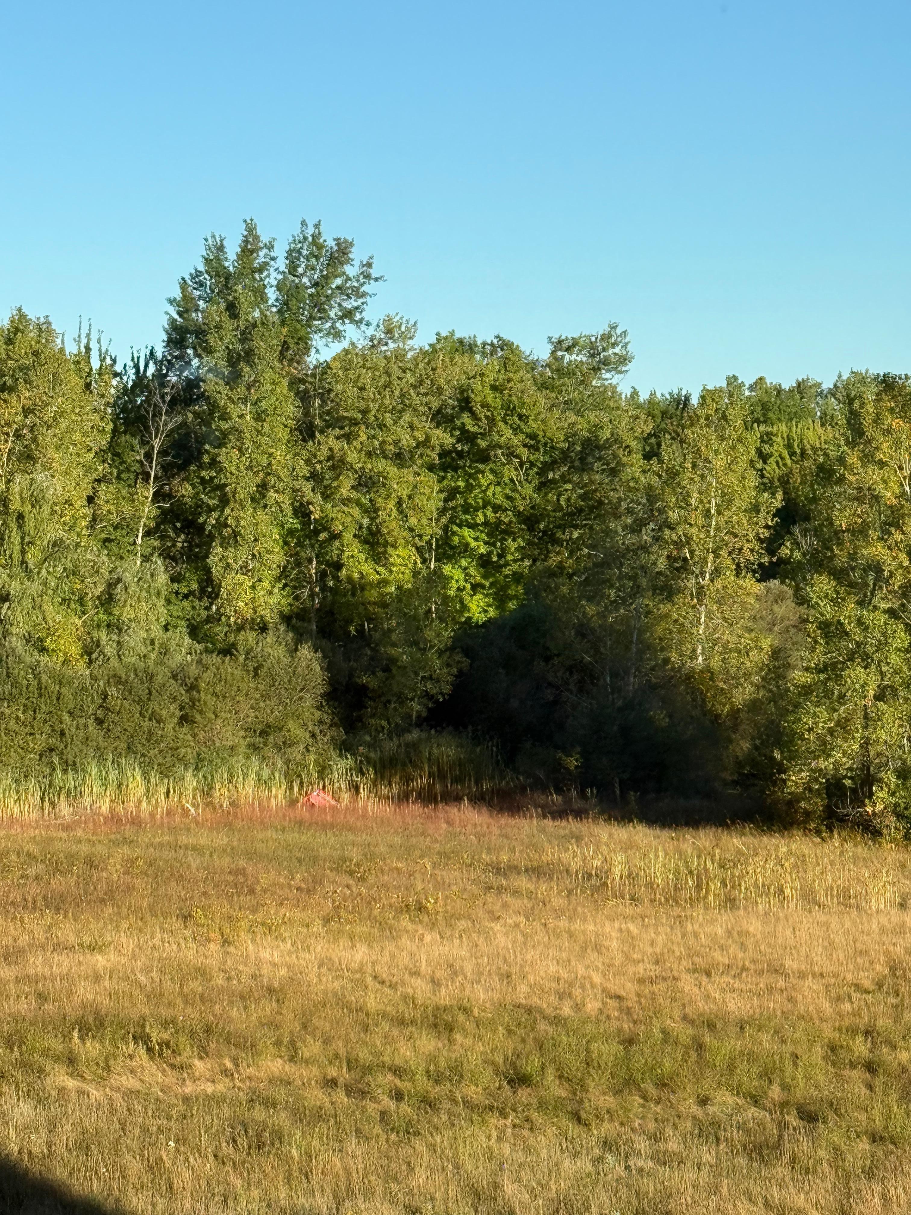 Our view was also peaceful and inspiring! 