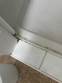moisissure salle de bain