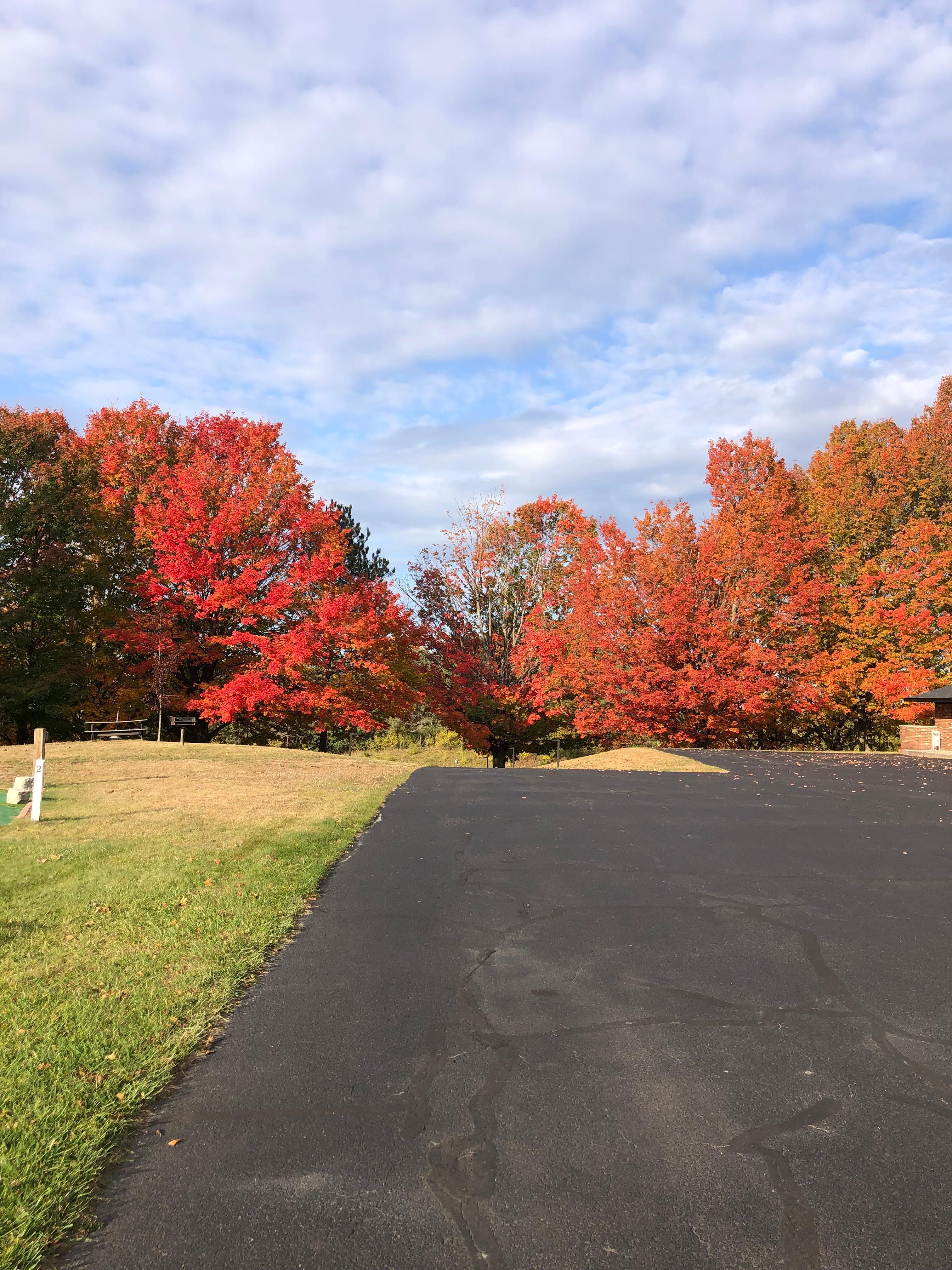 View of parking lot towards road