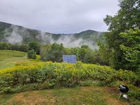 Morning mist rising from the field behind