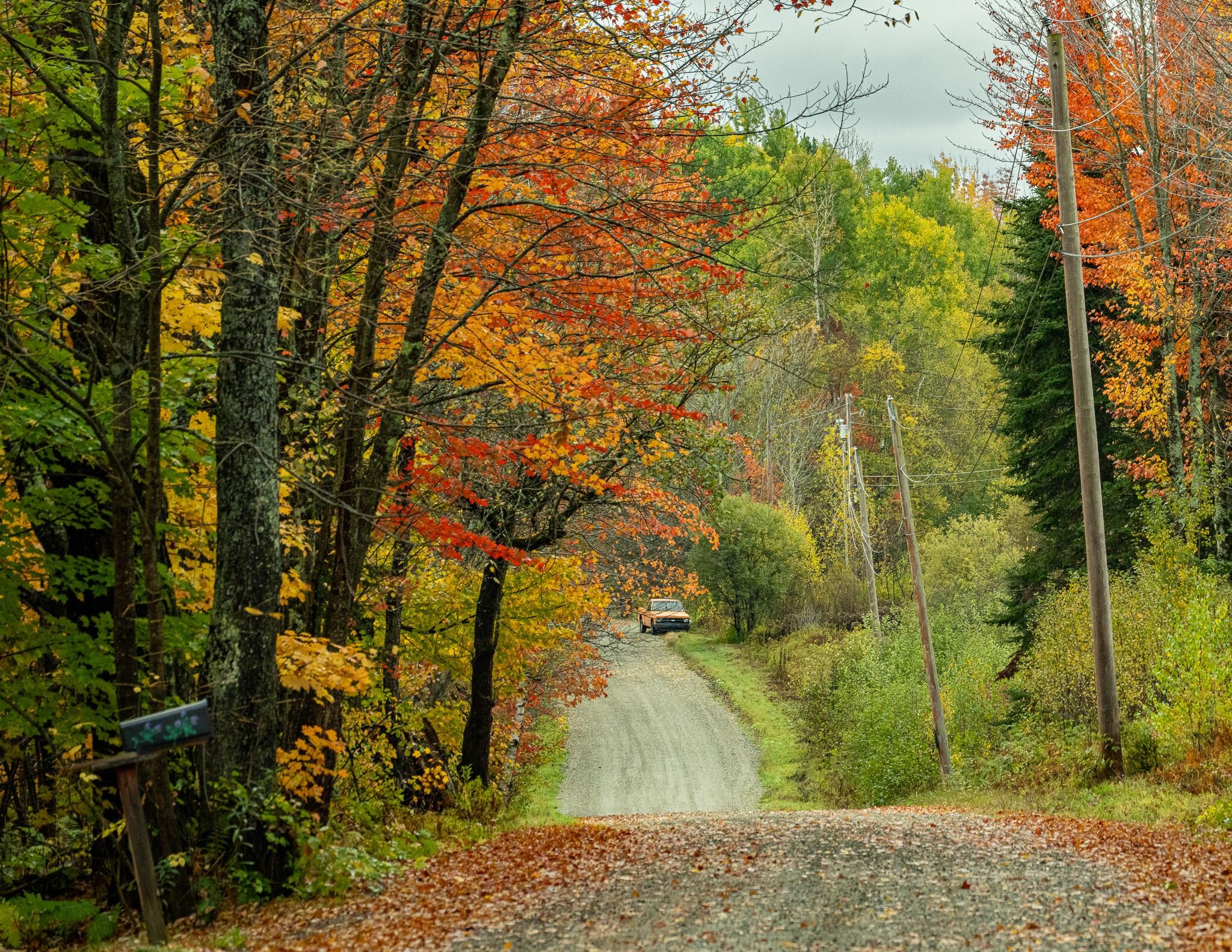 A quiet neighborhood with lots of space between properties, can't even see your neighbors