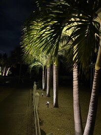 Beautiful walk to the village.