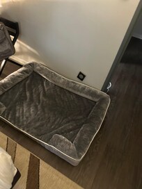 Large dog bed