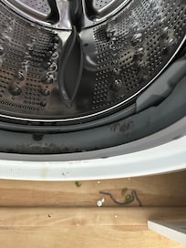 Mold in washer