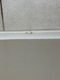 Baseboard in guest bath