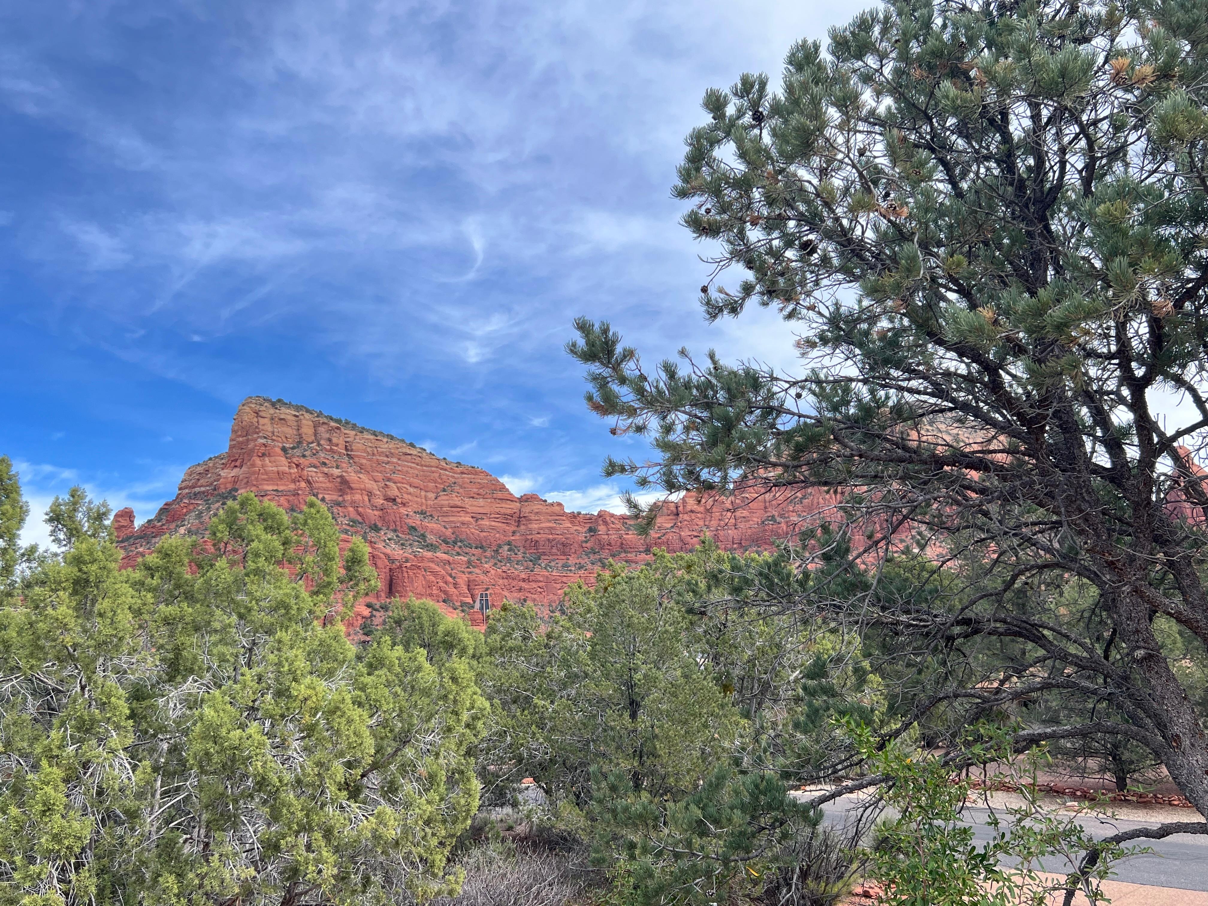 From the rooftop deck