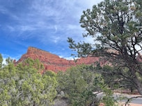 From the rooftop deck