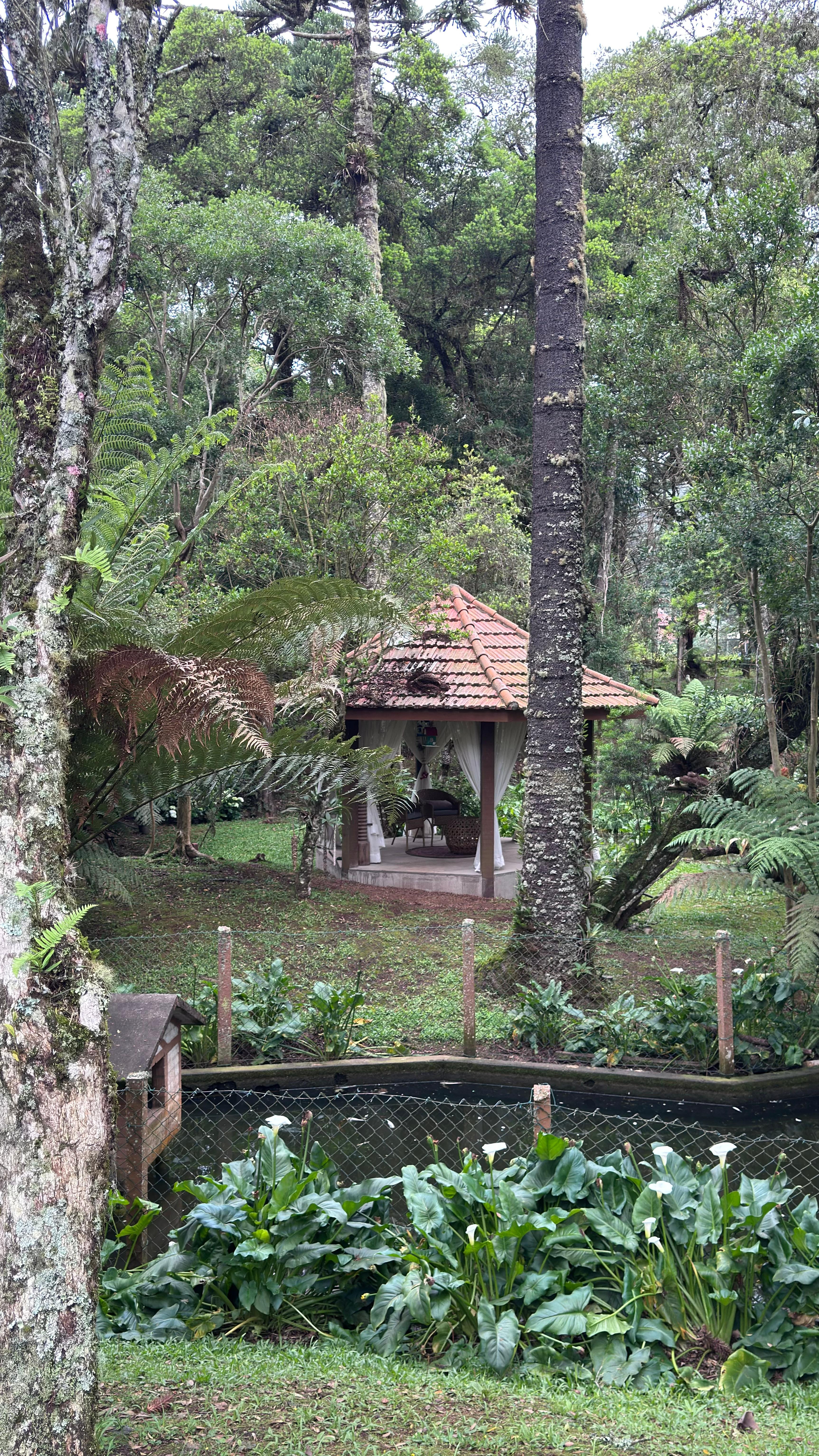 Outra vista dos fundos do chalé.